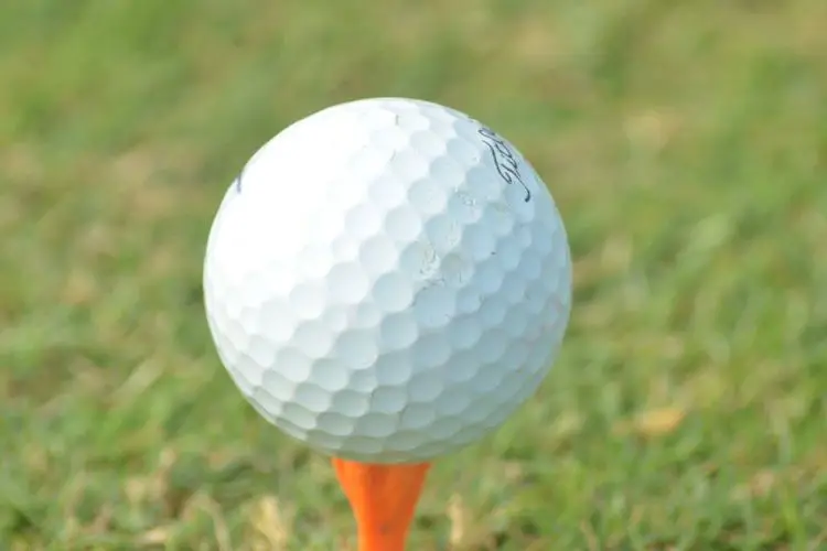 Rizgolf Golf Ball Closeup Photo